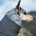 thumbnail image 4 of Hurtta Extreme Overall, Dog Snowsuit, BlackBerry, 12S, 4 of 4