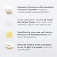thumbnail image 4 of Crema de noche Instant Effects Cult51 50 ml antienvejecimiento, 4 of 6