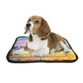 thumbnail image 2 of PKQWTM View at St. Peter's Cathedral in Rome European Italy City Landmark Pet Dog Cat Bed Pee Pads Mat Cushion Potty Dogsblankets Crate Bed Kennel 14x18 inch, 2 of 3