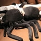 thumbnail image 2 of KAKOWELY Araña gigante de peluche, animal de peluche, juguete de araña, juguete de dibujos animados, juguete de peluche, juguete de araña, 2 of 5