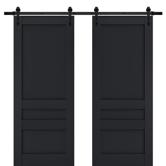 Sturdy Double Barn Door | Veregio 7411 Antracite | 13FT Rail Hangers Heavy Set | Solid Panel Interior Doors-36" x 96" (2* 18x96)-Black Rail