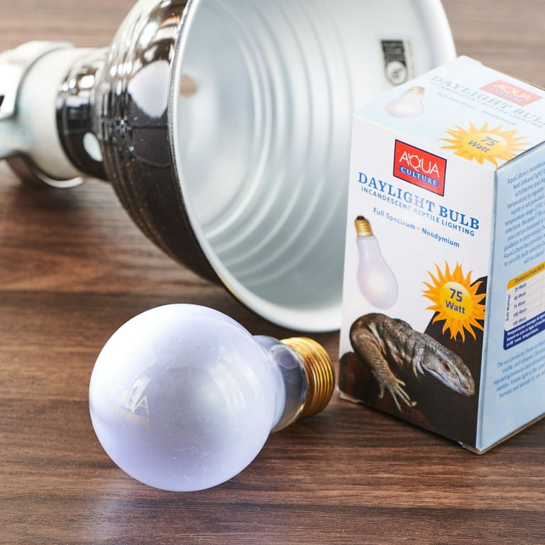 Neodymium bulbs for outlet reptiles
