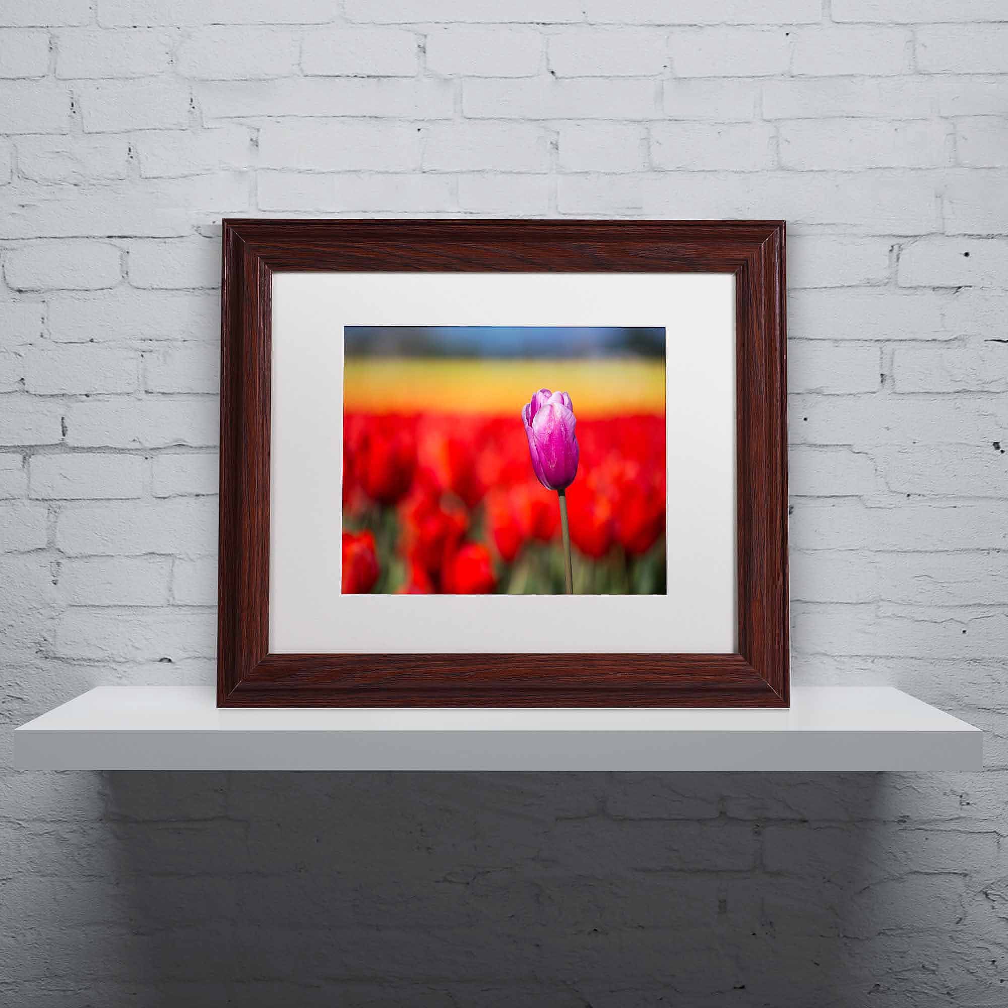 Trademark Fine Art "Purple Tulip" Canvas Art by Pierre Leclerc, White Matte/Wood Frame