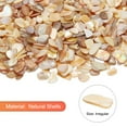 thumbnail image 2 of Uxcell 500g conchas trituradas irregulares fragmentos de conchas marinas mosaico natural para proyectos de arte y manualidades Beige, 2 of 5