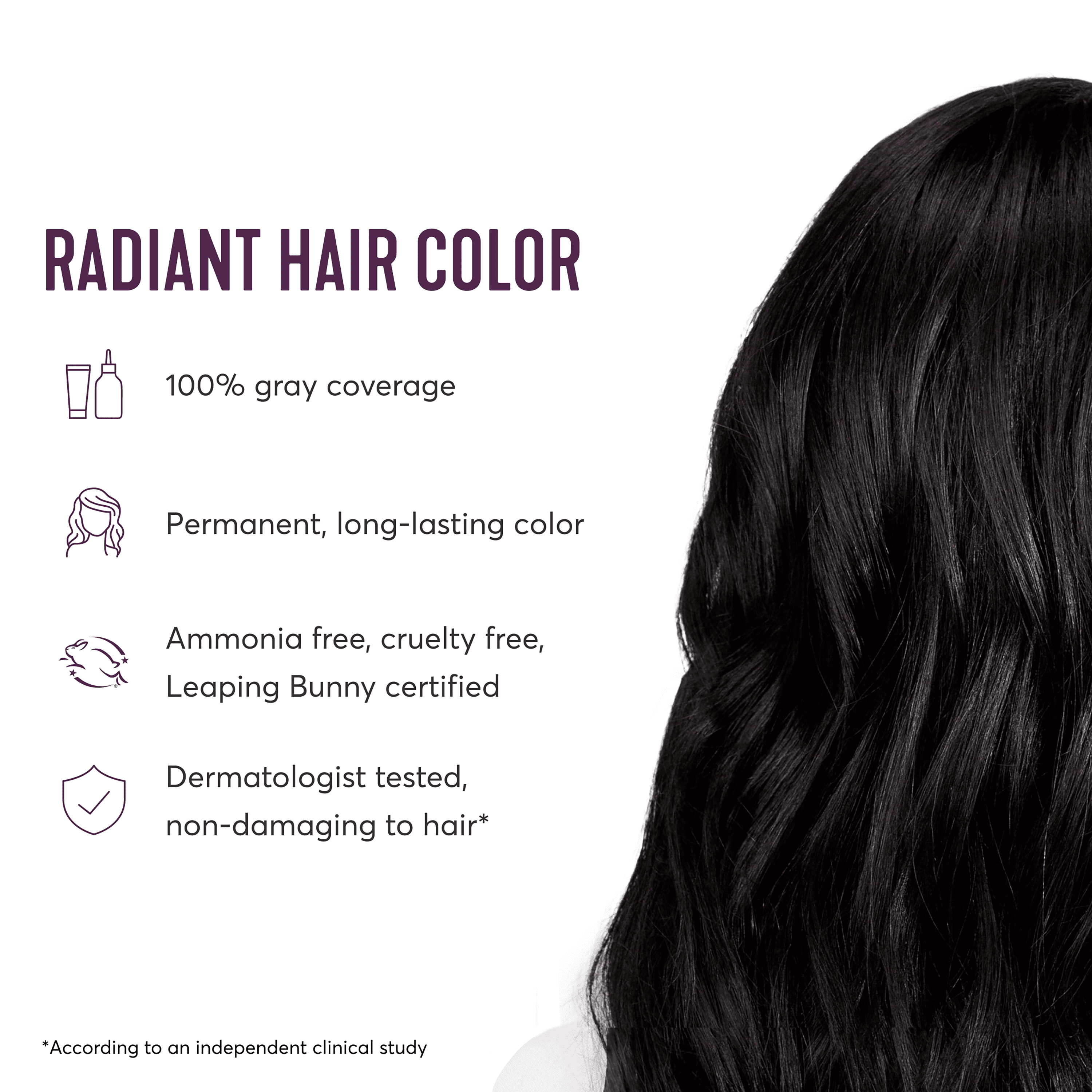 Madison Reed Radiant Permanent Hair Color Kit with Bonus Pro Boost, Pescara Black (2NNA), Darkest Black
