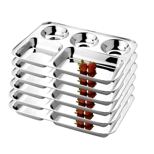 Matrbhumi 5 in 1 Partition Dinner Plates, Stainless Steel Silver, 6 Piece