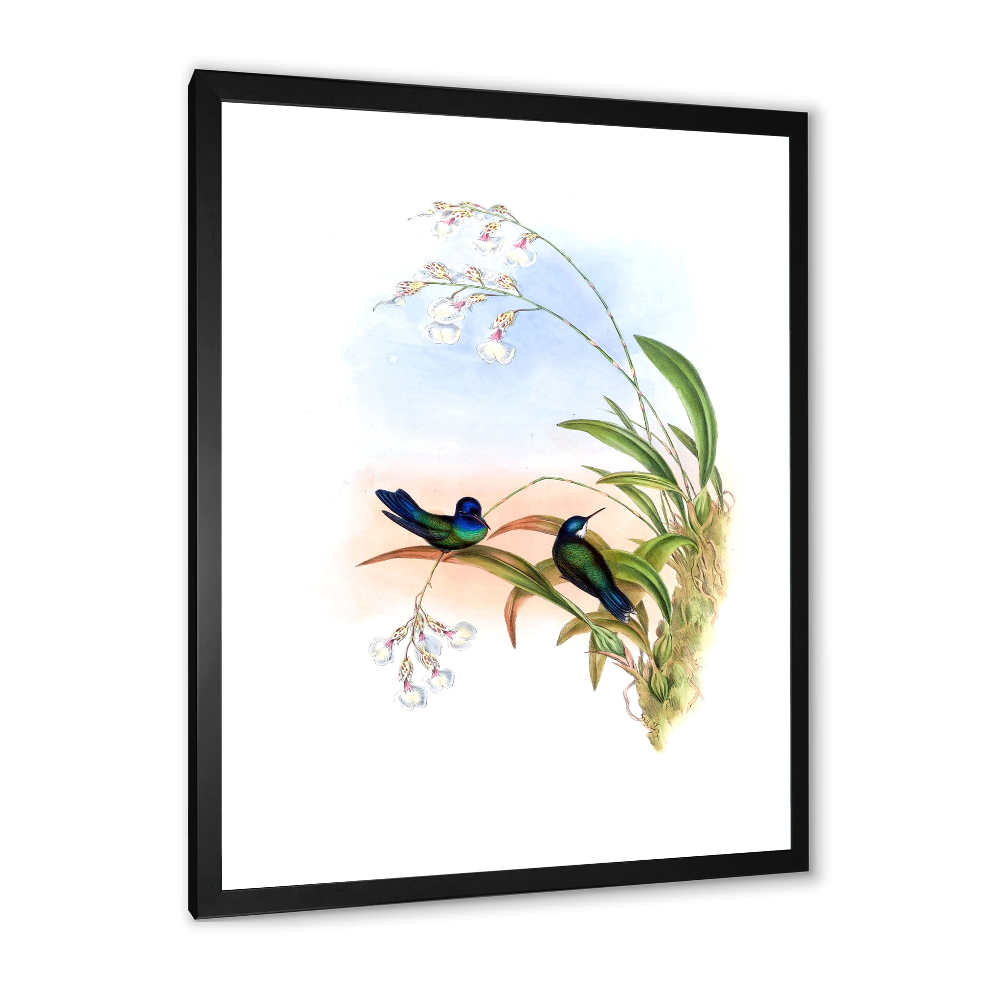 Designart 'Ancient Hummingbird III' Traditional Framed Art Print