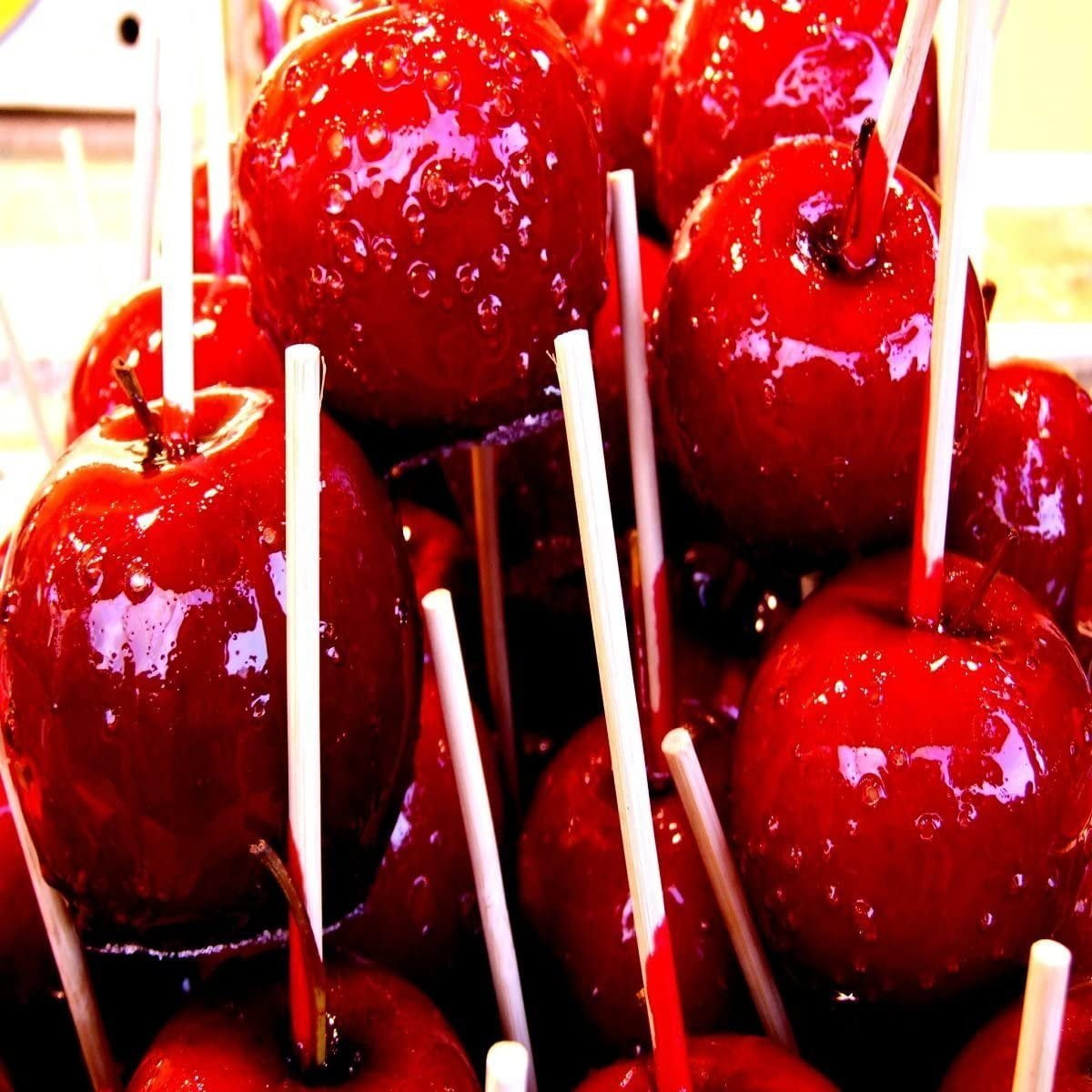 Winter Candied Apple Fragrance Oil 8 oz. Bottle for Candle Making, Soap Making, Tart Making, Room Sprays, Lotions, Car Fresheners, Slime, Bath Bombs, Warmers