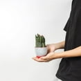 thumbnail image 5 of ANHXN ceramic flowerpot, indoor plant flowerpot, planter with drainage hole and tray. Different colors to choose from, 5 of 9