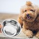 thumbnail image 1 of SHOWERORO Plato Para Comida Y De Mascotas Colgante Para Jaulas De Perros Y Roedores, 1 of 6