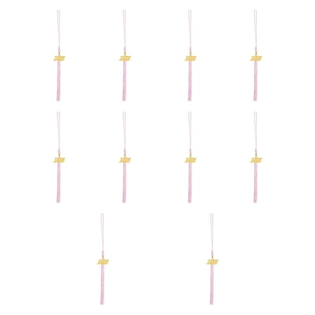 Wxqbjtam 10 Pieces Honor Cord Graduation Tassel Cap and Gown Accessories for Academic Cap Pink