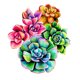 thumbnail image 2 of Pintura de diamante Taladro redondo completo 5D Rhinestone DIY Color Suculento Kit Imágenes Likrtyny decoración de arte, 2 of 9