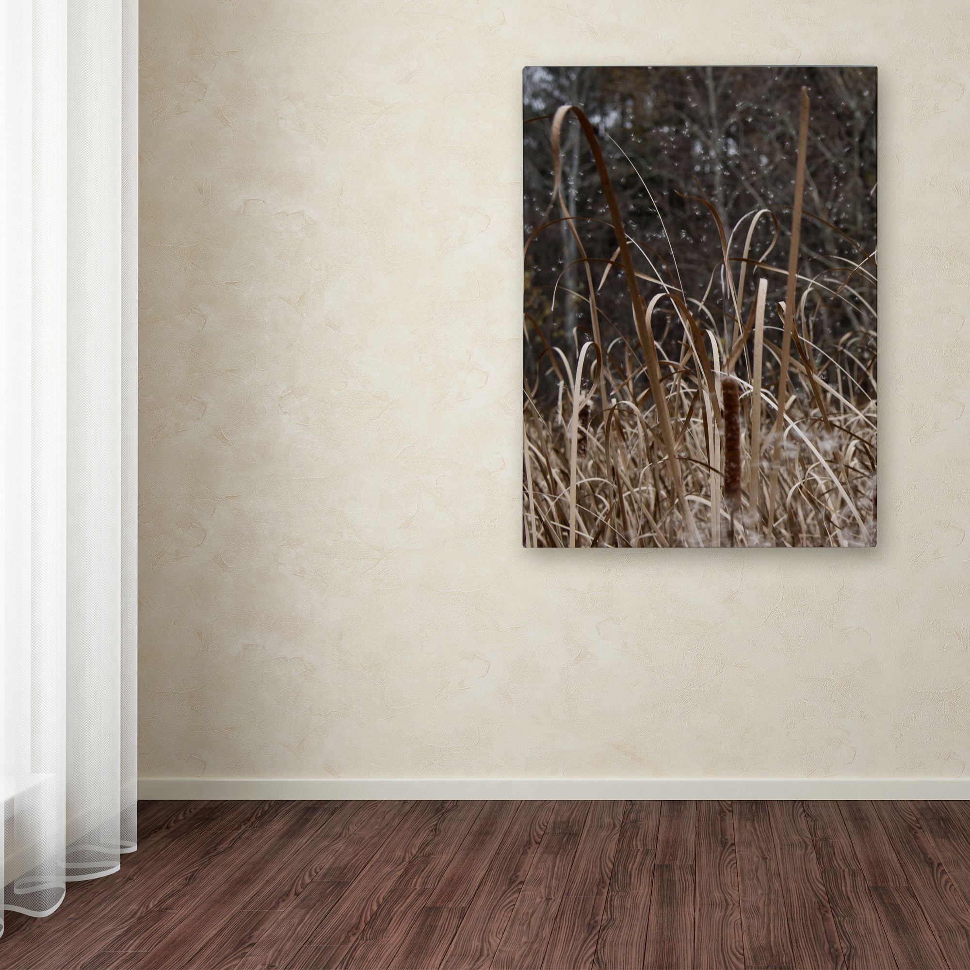 Trademark Fine Art "Cattail Seeds in Flight" Canvas Art by Kurt Shaffer