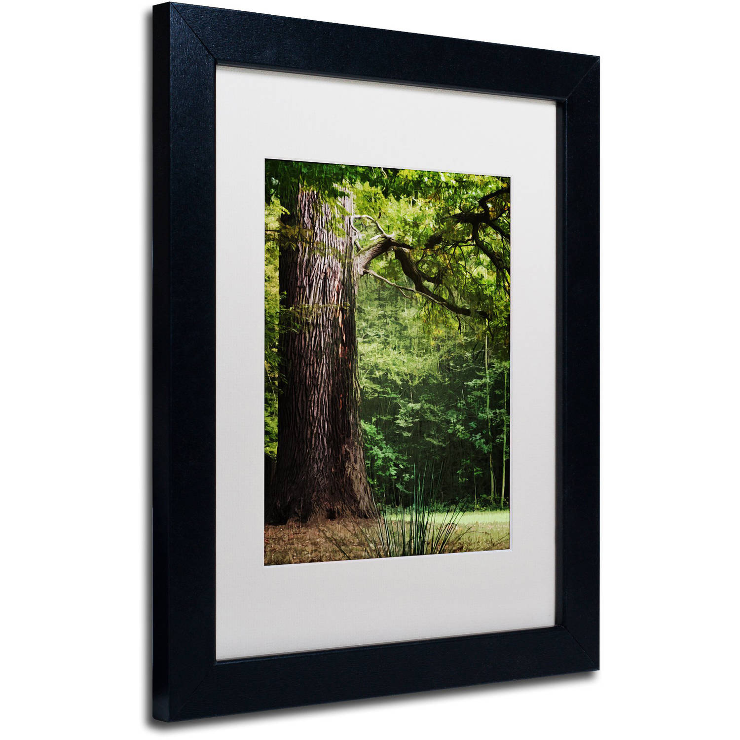 Trademark Fine Art "The old Trunk" Canvas Art by Philippe Sainte-Laudy White Matte, Black Frame