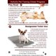 thumbnail image 5 of Clicker HoaOoo para adiestramiento de mascotas con correa para muñeca, para adiestramiento de perros, 5 of 7