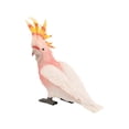 thumbnail image 4 of Teaching Aids for Decoration Use Realistic Plastic Multi Color 1 Piece 12.5 Inches, 4 of 5