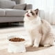 thumbnail image 4 of Plato De Plástico Para Gatos Comedero elevado de plástico para gatos de gran capacidad, ideal para Rkxzt, 4 of 9