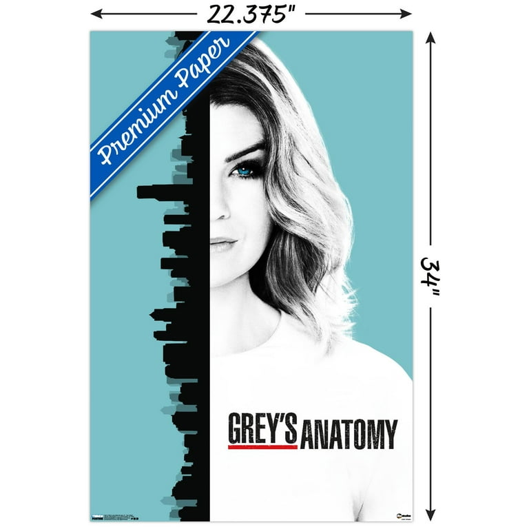 Grey's Anatomy Season 13 - One Sheet Wall Poster, 22.375