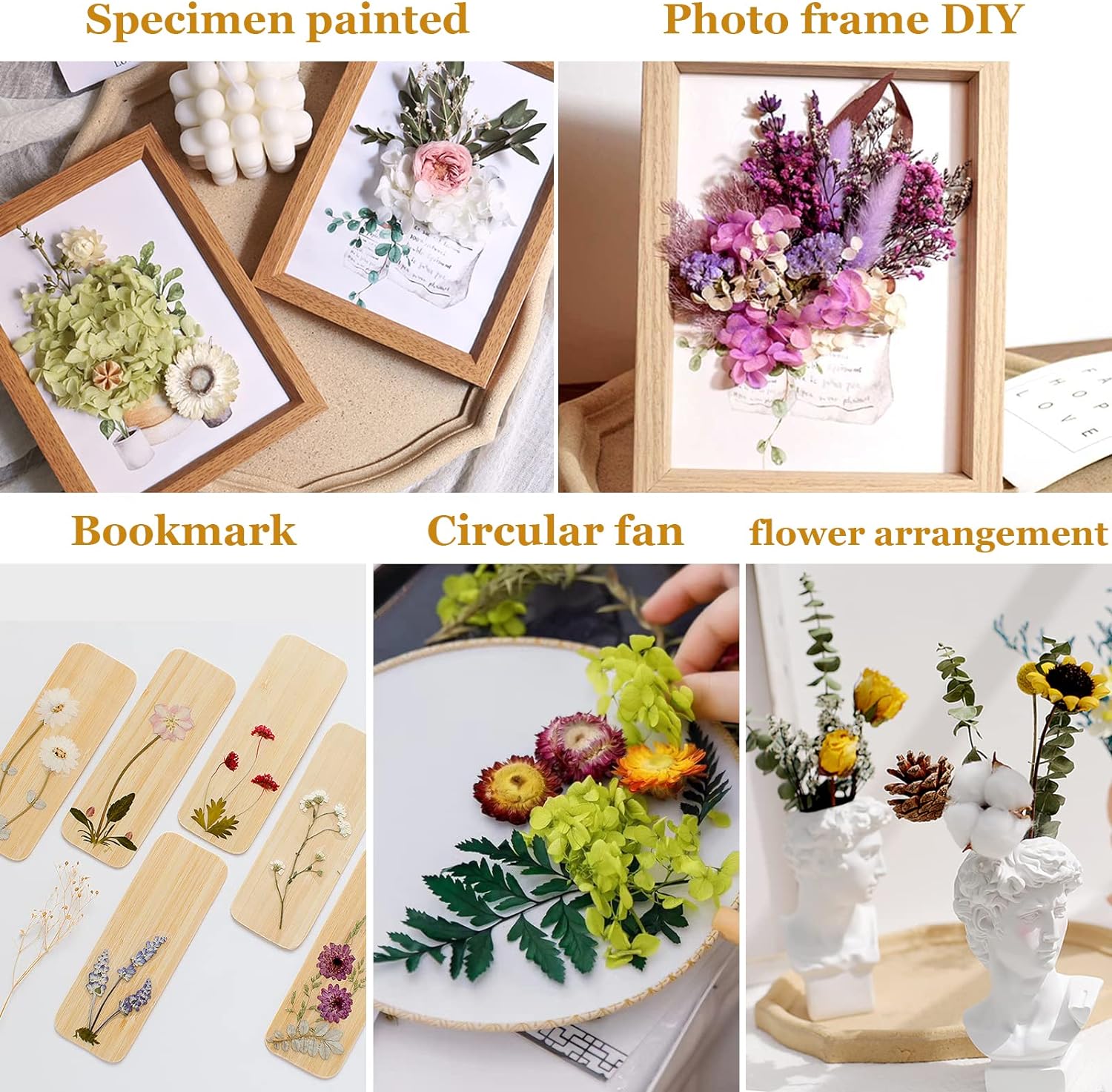Fleurs Séchées Pressées Multicolores – Assortiment 6 Collections – Pour Scrapbooking, Résine, Déco
