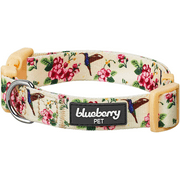 Angle View: Blueberry Pet 7 Patterns Spring Scent Inspired Floral Rose Print Turquoise Adjustable Dog Collar, Medium, Neck 14.5"-20"