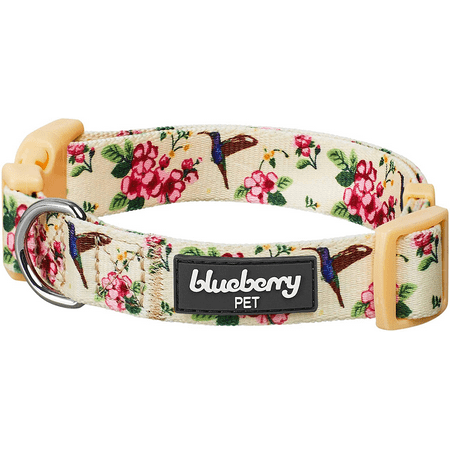 Blueberry Pet 7 Patterns Spring Scent Inspired Floral Rose Print Turquoise Adjustable Dog Collar, Medium, Neck 14.5"-20"