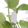 thumbnail image 4 of 100 Uds etiquetas de flores de vivero etiquetas de árbol de flores de PVC duraderas accesorios de jardinería Hugtrwg Para estrenar, 4 of 6
