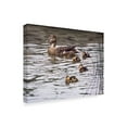 thumbnail image 2 of Trademark Fine Art 'Mallard Family' Canvas Art by Ron Parker, 2 of 3