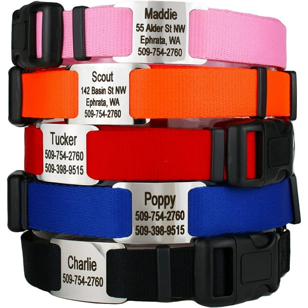 Dog clearance collar slide