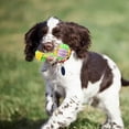 thumbnail image 1 of Candy Colored Rope Woven Dumbbell Pet Dog Cat Teeth Grinding Mouth Toy, 1 of 5