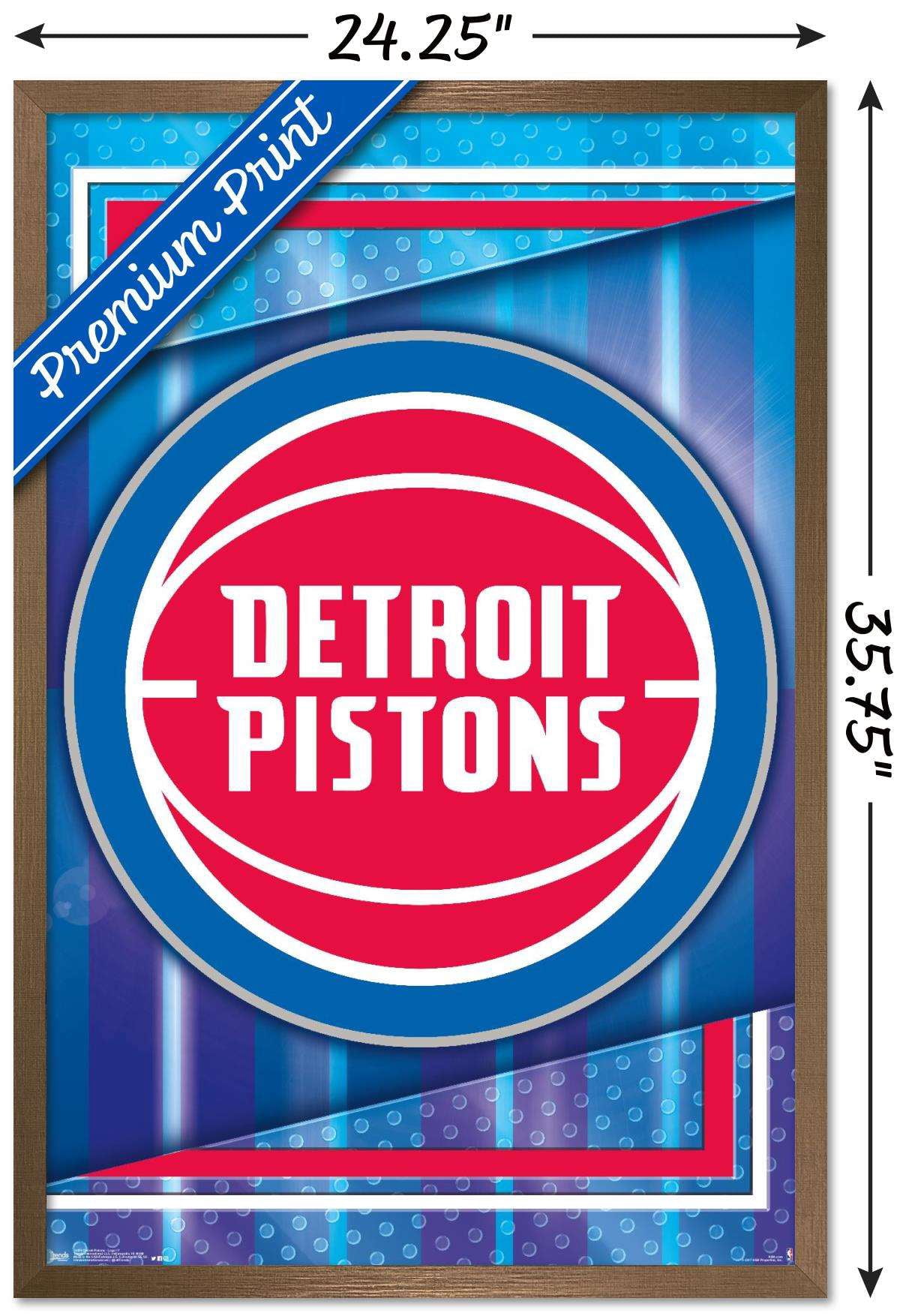 NBA Detroit Pistons - Logo 17 Wall Poster, 22.375" x 34", Framed