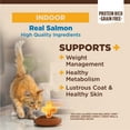 thumbnail image 2 of Wellness CORE+ Grain-Free Indoor Salmon & Herring Meal Recipe Dry Cat Food, 11 Pound Bag, 2 of 8