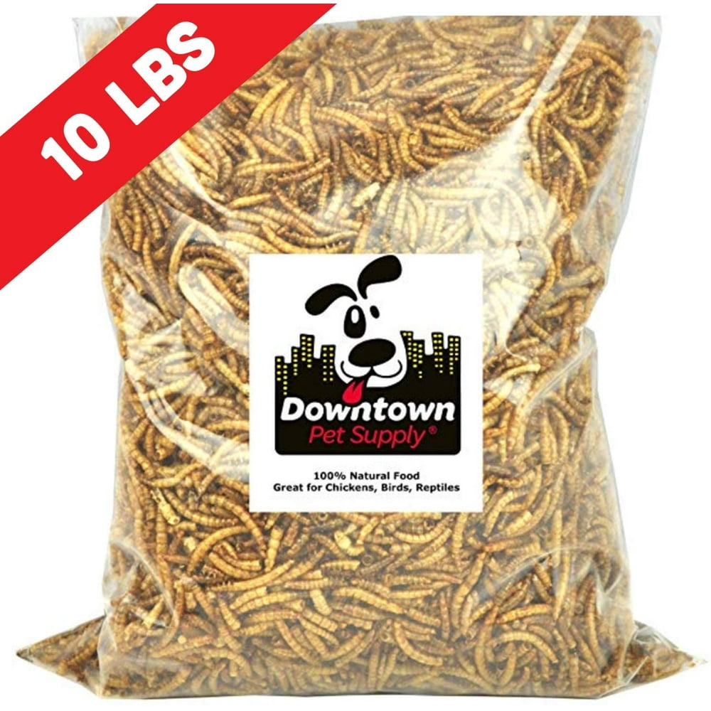 Downtown Pet Supply Dried Mealworms 100 Natural Treats for Wild Birds