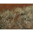 thumbnail image 2 of John Singer Sargent 14x12 Gold Ornate Wood Frame and Double Matted Museum Art Print Titled - Thistles (1883), 2 of 4