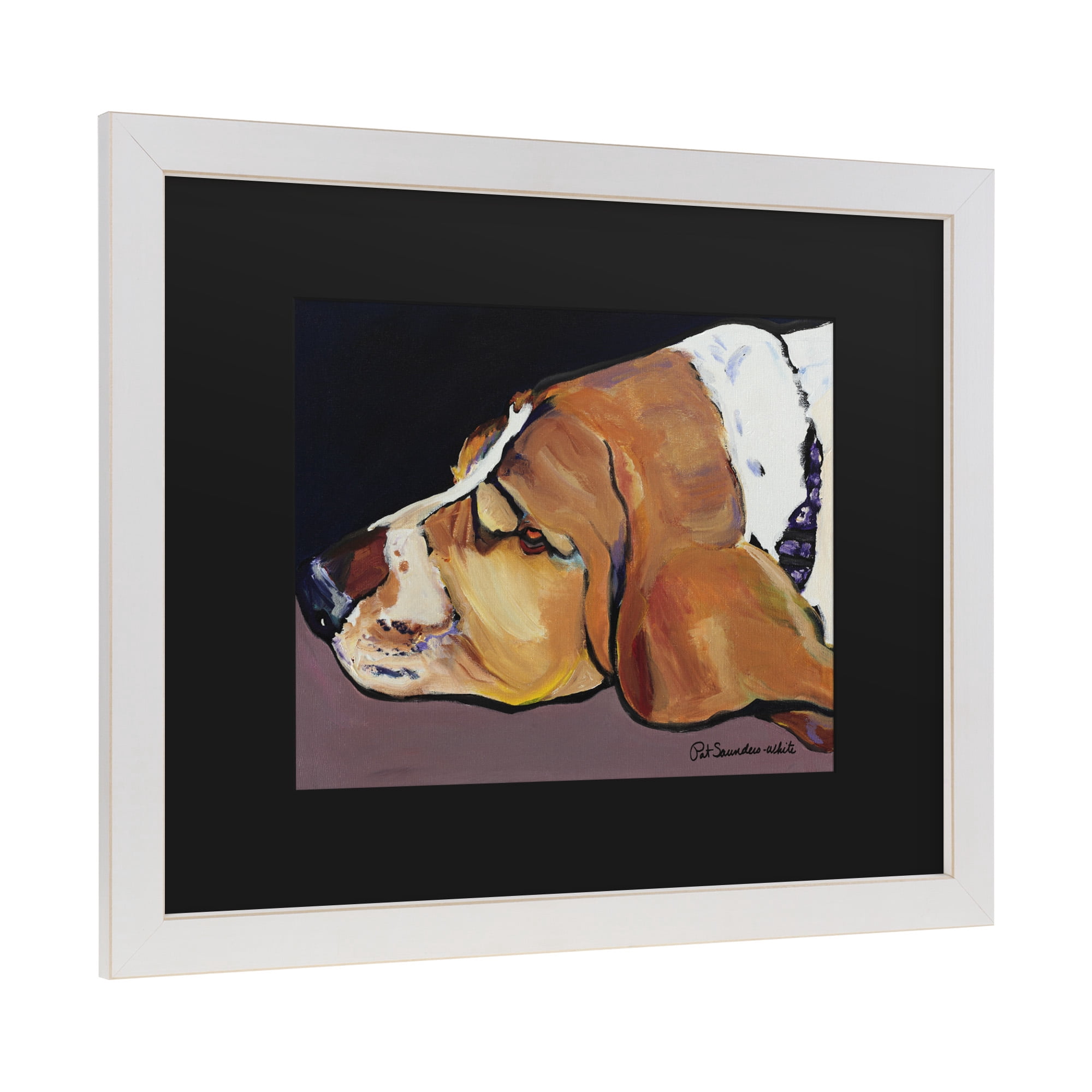 Trademark Fine Art 'Farley' Canvas Art by Pat Saunders-White