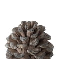 thumbnail image 3 of 10.5" Gray and Brown Traditional Style Pine Cone Tabletop Decor, 3 of 3