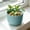 205#Green, variant on Plastic Flower Pots Linear Pattern Set, Sturdy Durable Planters for Indoor Outdoor Plants, Drainage Hole Pots for Succulents and Herbs, Minimalist Decor Planter for Home and Office