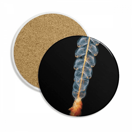 

Ocean Jellyfish Science Nature Picture Coaster Cup Mug Tabletop Protection Absorbent Stone