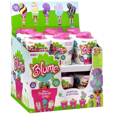 Series 1 Add Water & See Who Blumes? Mystery Box (12 Packs) price history on PriceWatchPro