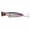 Black Silver, variant on Topwater Popper Fishing Lure, Hard Bait with Treble Hooks for Bass Striper and Saltwater Fishing, Blue Silver, 1.41 oz, 4.92 Inch