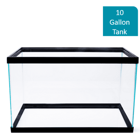Aqua Culture 10-Gallon Glass Aquarium (Best Aquarium Fish For Beginners)