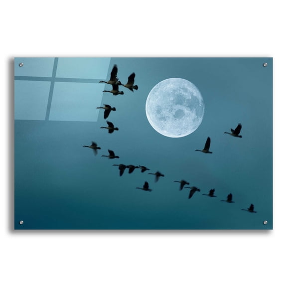 Epic Art 'Fly away' by Ata Alishahi, Acrylic Glass Wall Art, 36"x24"