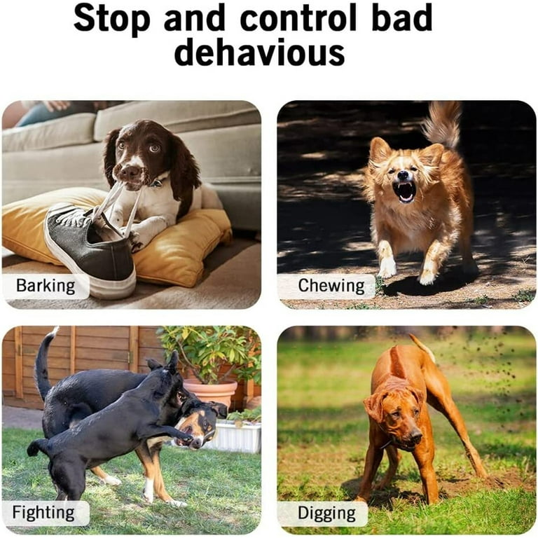Queenmew dog training collar sales