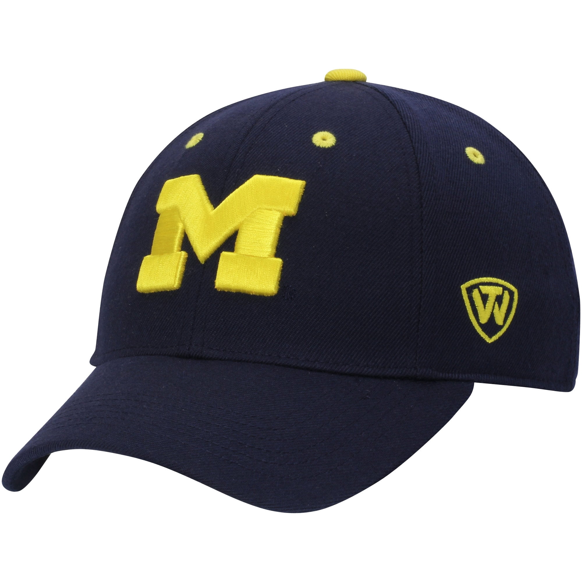 Michigan Wolverines Top of the World 