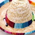 thumbnail image 5 of Chihuahua Mini Dog Mexican Hat Funny Costume & Decorations, 5 of 5