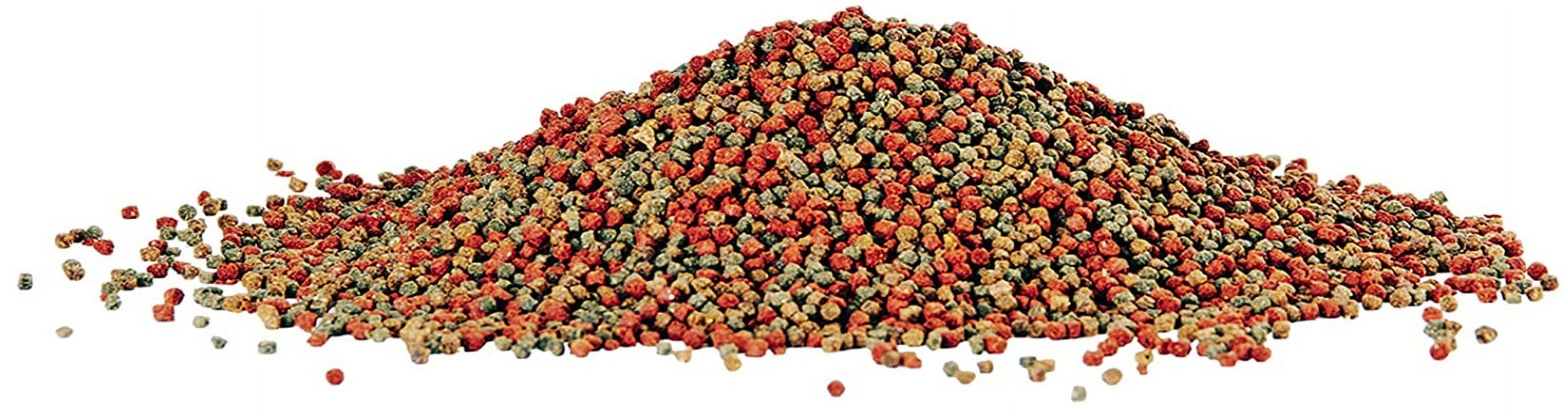 Aqueon Tropical Granules Fish Food [Aquarium Tropical Fish Food, Aquarium Supplies] 19.5 oz (6 x 3.25 oz)