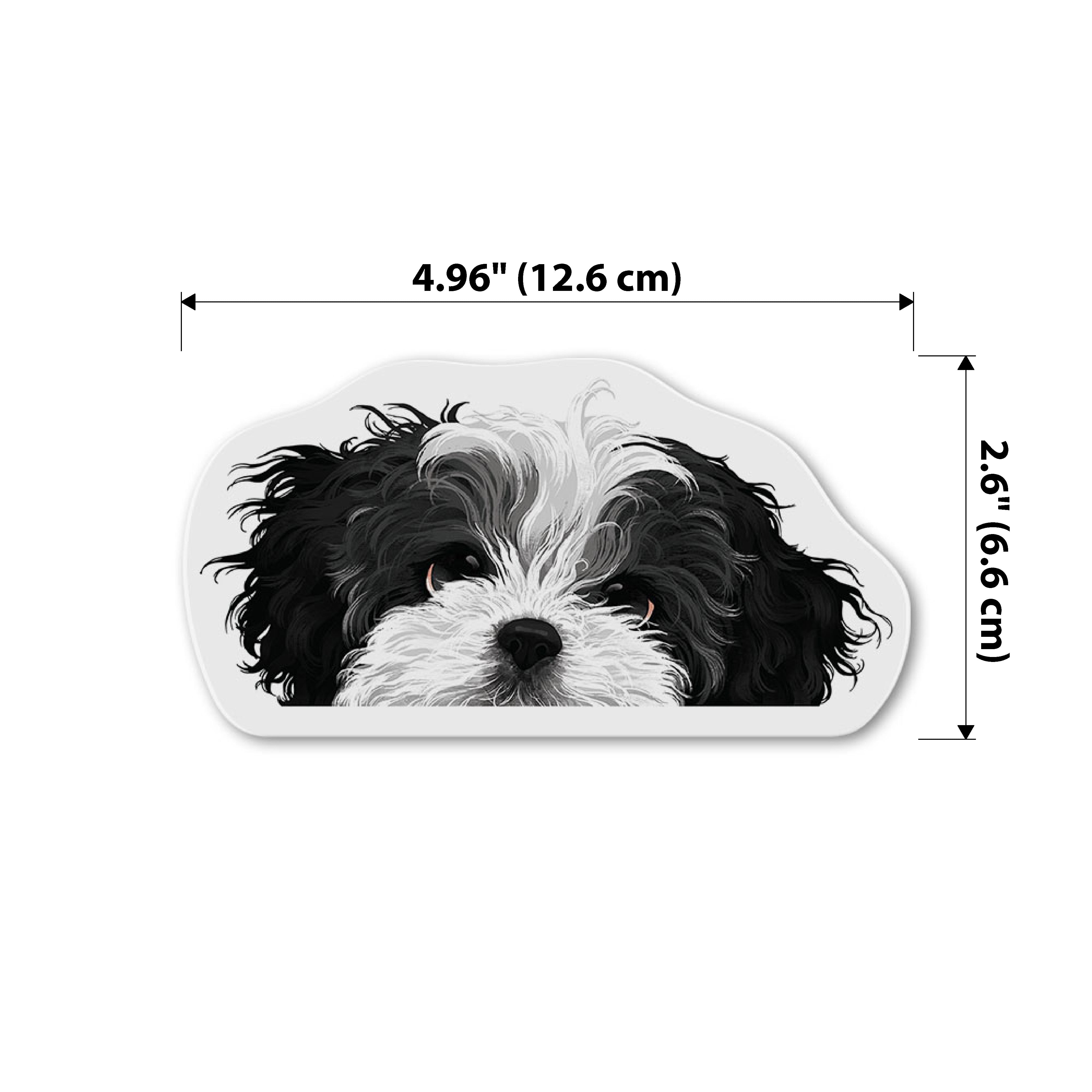 SHIH TZU a House Is Not A Home FRIDGE MAGNET New DOG Steel Cased 