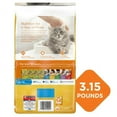 Kitten Chow Kibble Cat Food: Chicken Flavor, Dry Food for Kittens, 3.15