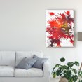 thumbnail image 3 of Trademark Fine Art 'Fireworks Display II' Canvas Art by Jodi Fuchs, 3 of 4