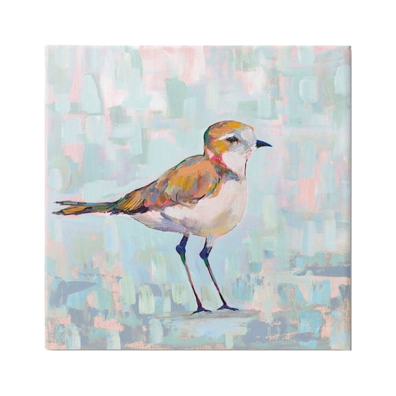Stupell Industries Coastal Plover Nautical Bird Painting Gallery Wrapped Canvas Print Wall Art, Design by Jeanette Vertentes