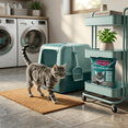 thumbnail image 5 of Arena aglutinante para gato Clean & Dry Menta 5.5 kg, 5 of 5